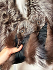 Silver Fox Fur Collar