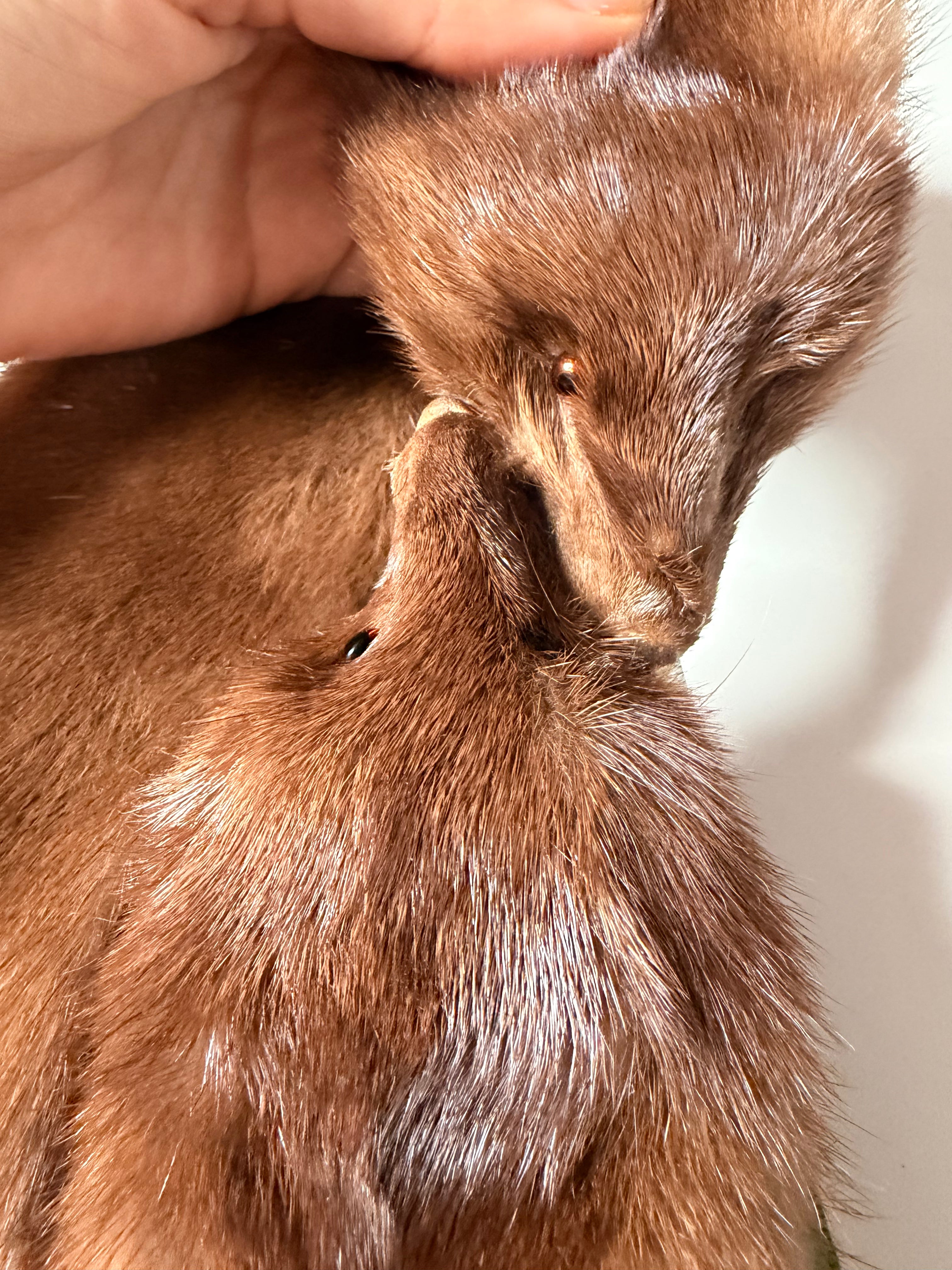 Light Brown Mink Fur Stole