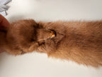 Pastel Mink Fur Stole