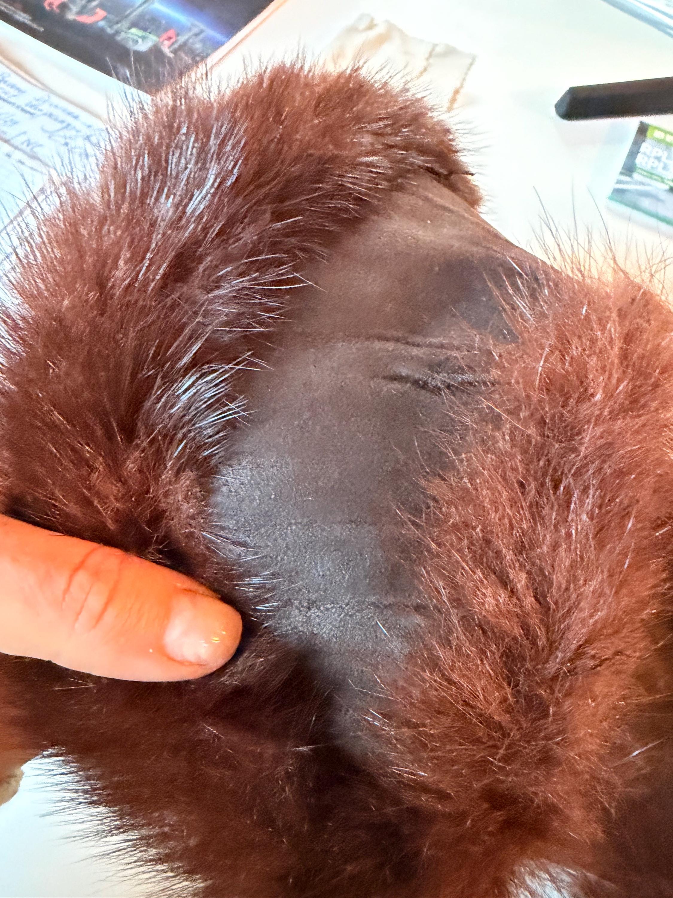 Brown Fur Collar