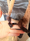 Beige Fur Scarf