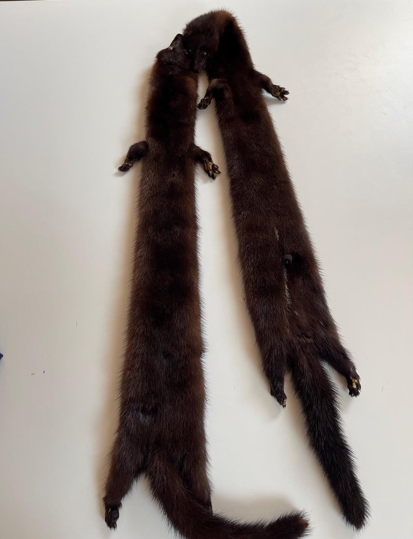 Brown Mink Fur Stole